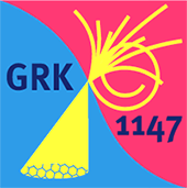Logo_graduate_school_GRK1147
