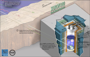 XENON - Detection principles